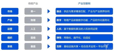 產(chǎn)業(yè)互聯(lián)網(wǎng)生態(tài)新圖景 網(wǎng)絡(luò)技術(shù)服務(wù)驅(qū)動(dòng)數(shù)字未來